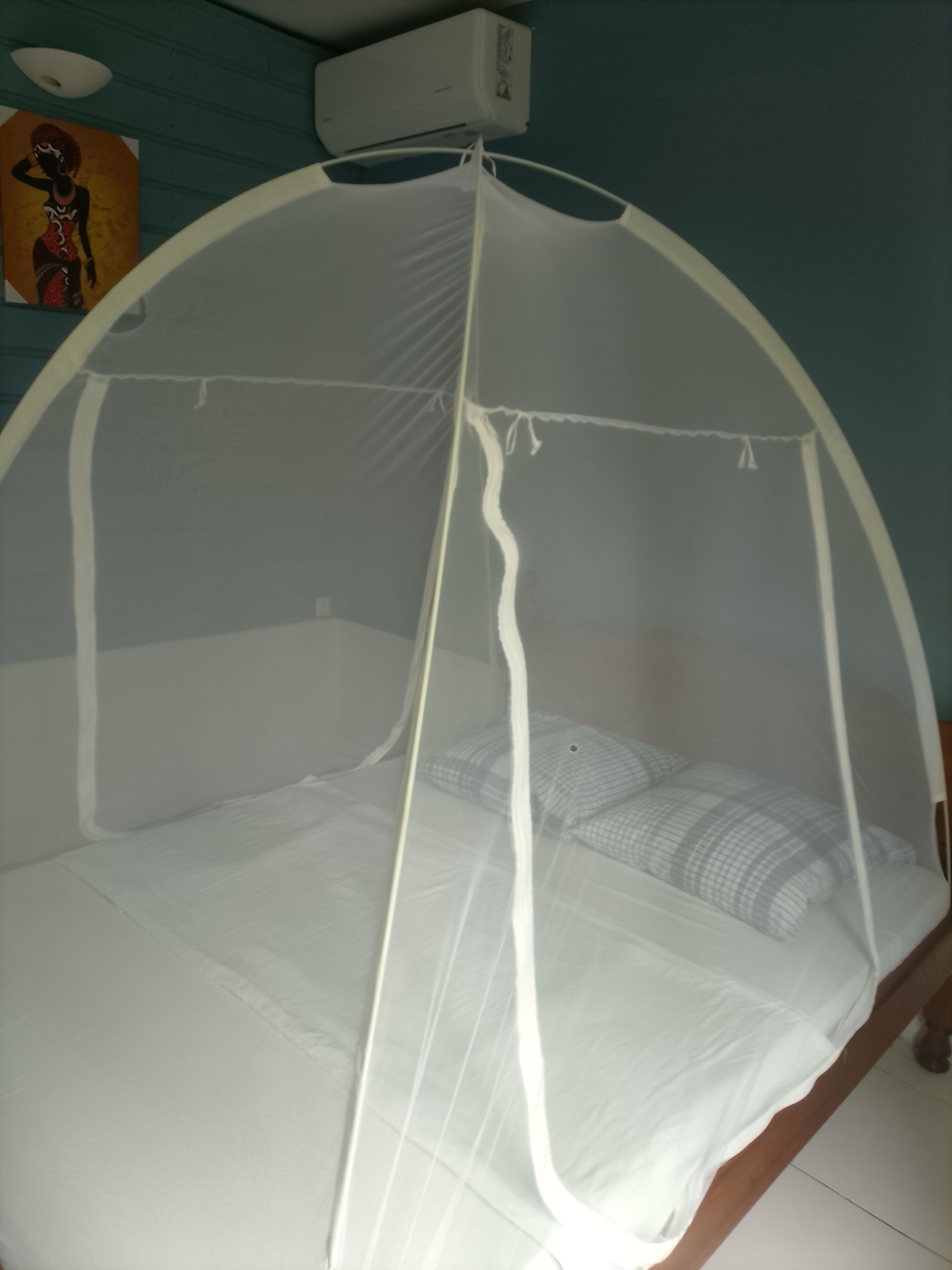 A bed with a mosquito net, a wall-mounted air conditioner, and a painting on the wall.
