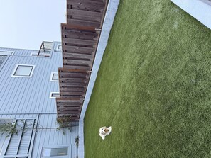 En hund på en gräsklädd gräsmatta med ett trästaket och en byggnad i bakgrunden.