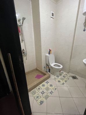 Une salle de bain avec des toilettes, une douche et un lavabo.