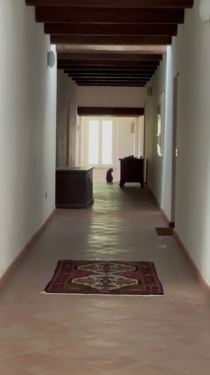 Un couloir avec un tapis à motifs, un meuble sombre et un chat assis près de la porte.