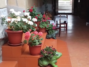 A series of potted plants with flowers, a green frog statue, and a wooden chair in a hallway.