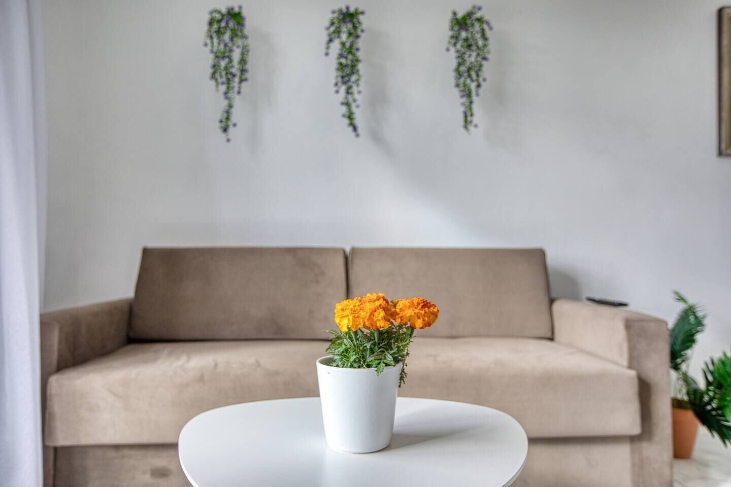 A living room with a beige sofa, a white coffee table with a potted plant, and hanging greenery on the wall.