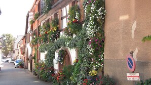 A street with buildings adorned with flowering plants. - Le Bretzel Apartment with Mountain View and Wi-Fi (Ribeauvillé)