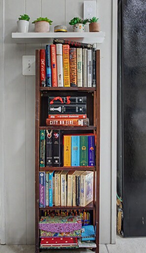 Une bibliothèque contenant divers livres et objets décoratifs.