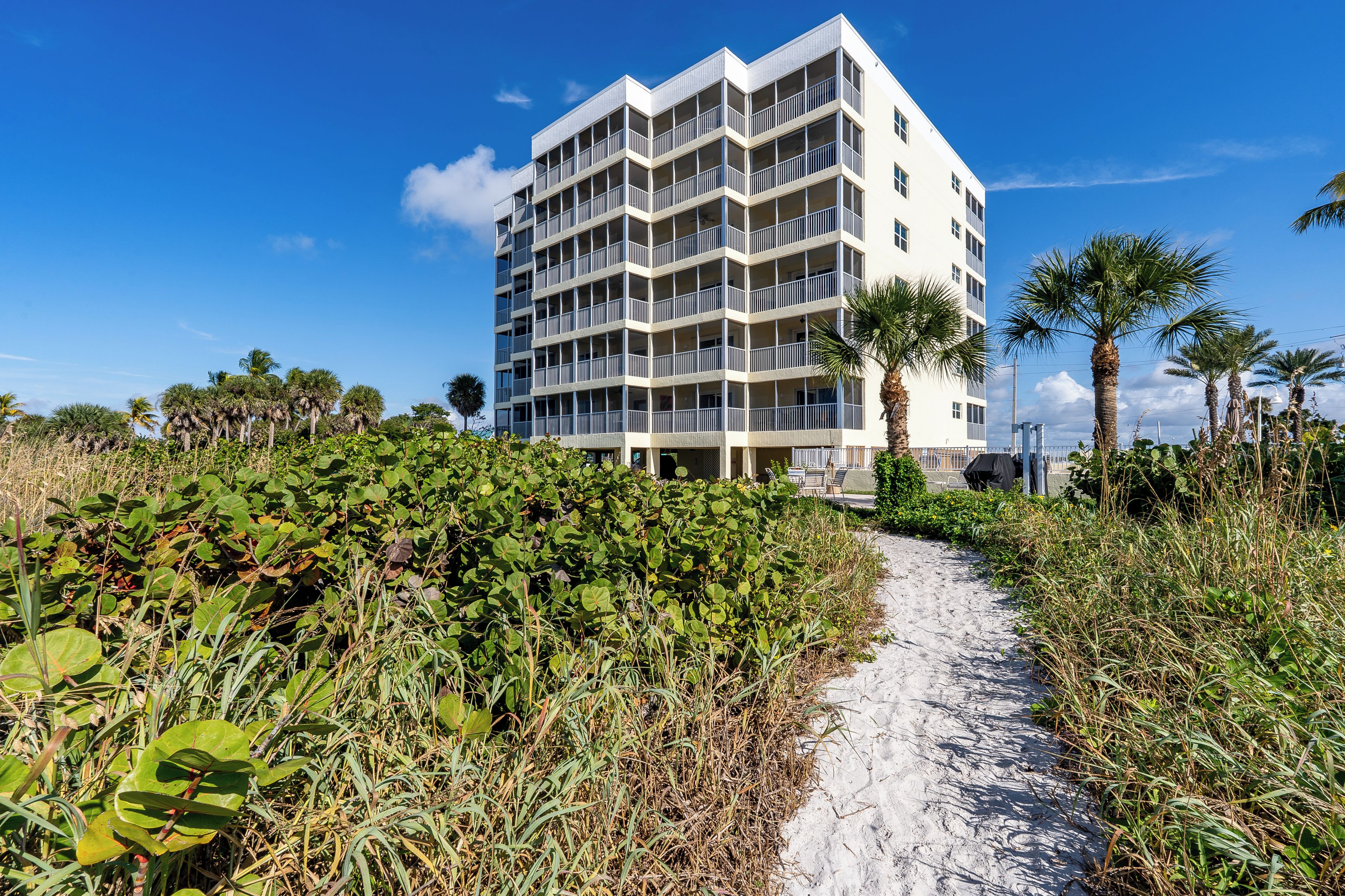 A pathway leading to a multi-story building with balconies, surrounded by dense vegetation and palm trees.
