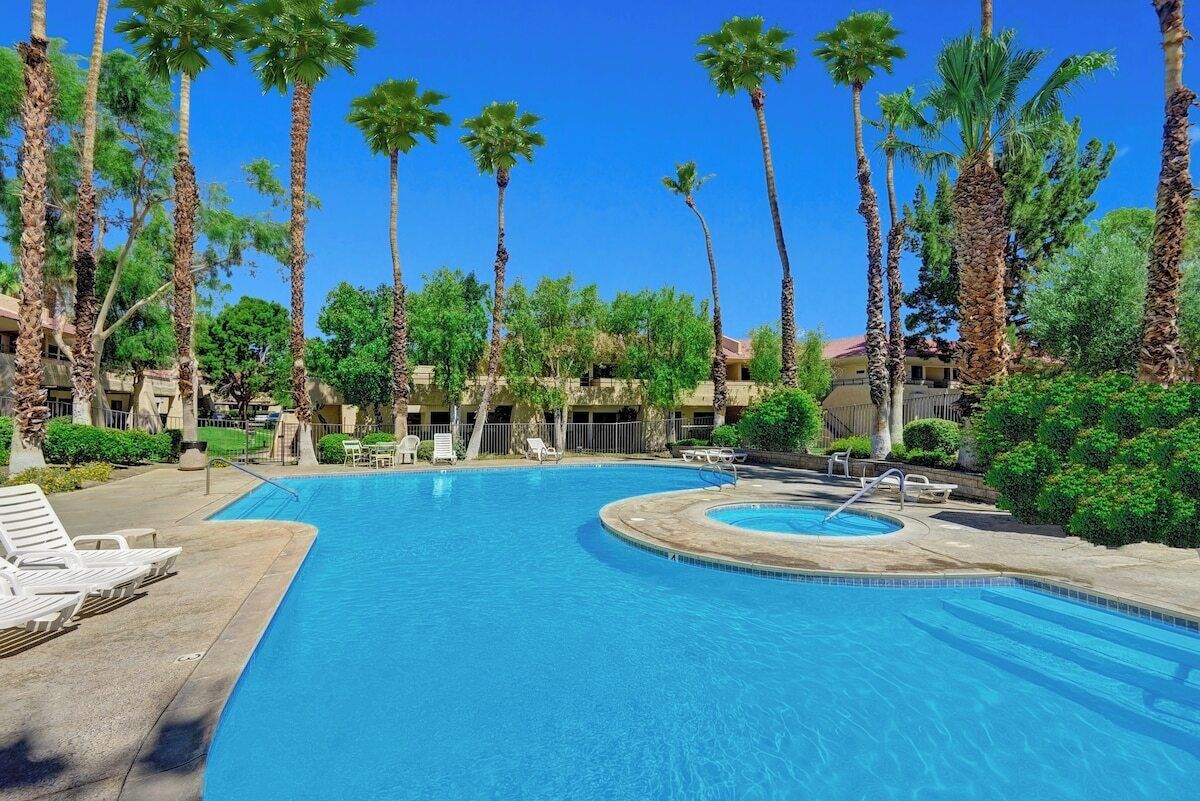 Une piscine avec des chaises longues et des palmiers.