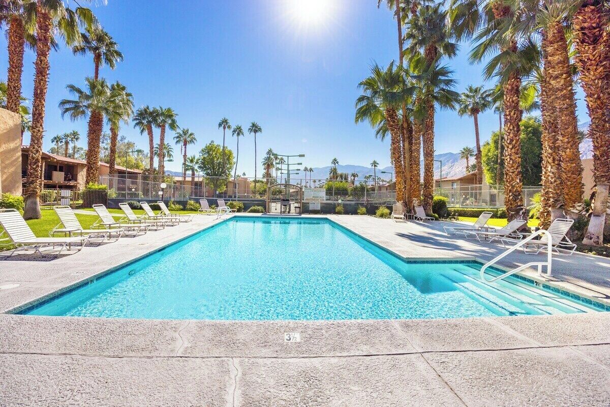 A swimming pool with lounge chairs and palm trees.