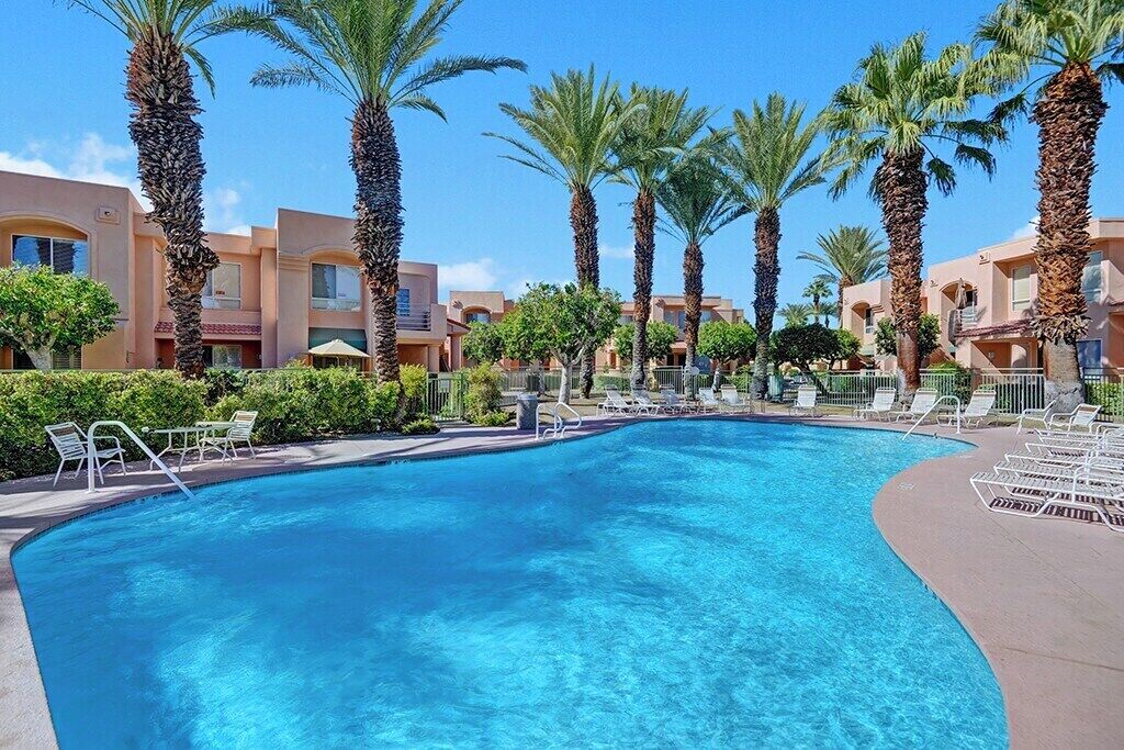 A swimming pool with lounge chairs and palm trees.