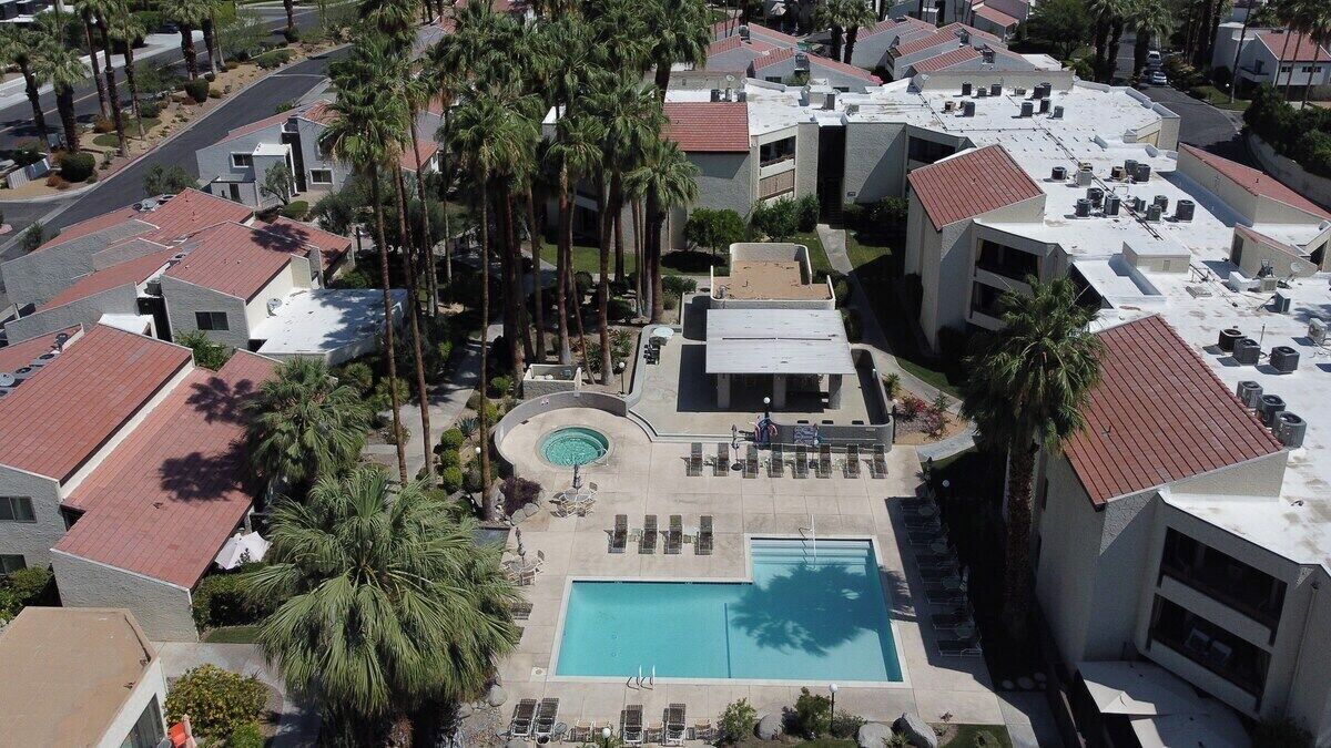 Zona residenziale con piscina, sdraio e palme.