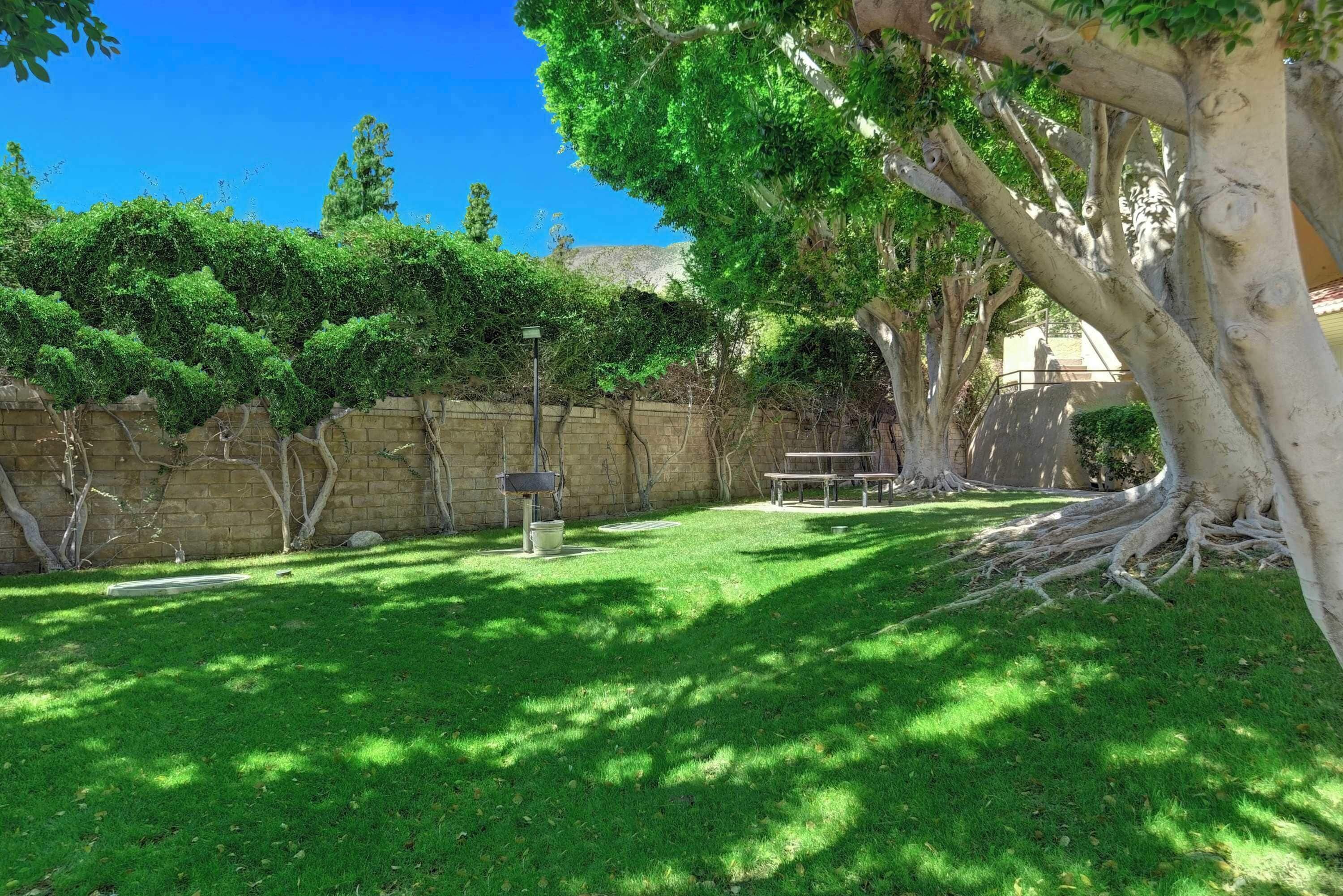 Une cour arrière verdoyante avec un mur de pierres, un arbre et une table de pique-nique.