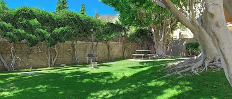 Une cour arrière verdoyante avec un mur de pierres, un arbre et une table de pique-nique.