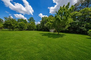 A well-maintained grassy field with trees and a clear sky. - The Peach Haus ~ Groovy Stay With Screened Porch (Tifton)