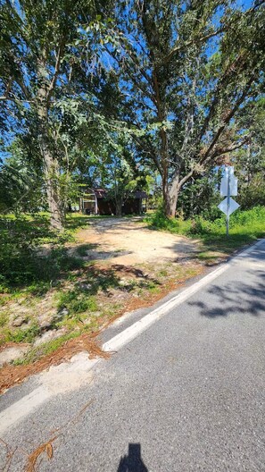 A rural road with a dirt path leading to a house surrounded by trees.