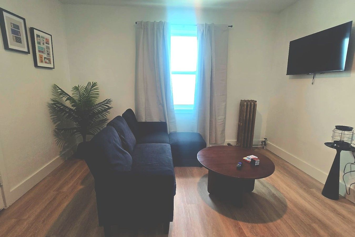 Ein Wohnzimmer mit einer Couch, einem Couchtisch, einem Fernseher und einer Pflanze.