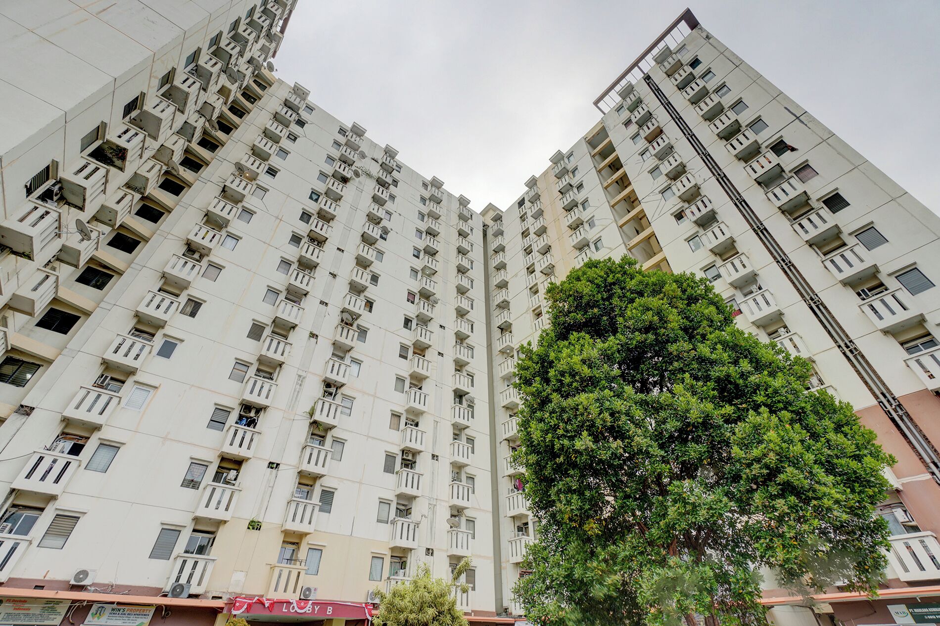 A high-rise residential building with multiple balconies and a large tree in front.