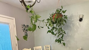 Ein Essbereich mit einem Holztisch, weißen Stühlen, einer hängenden Pflanze und einem Fenster mit Jalousien.