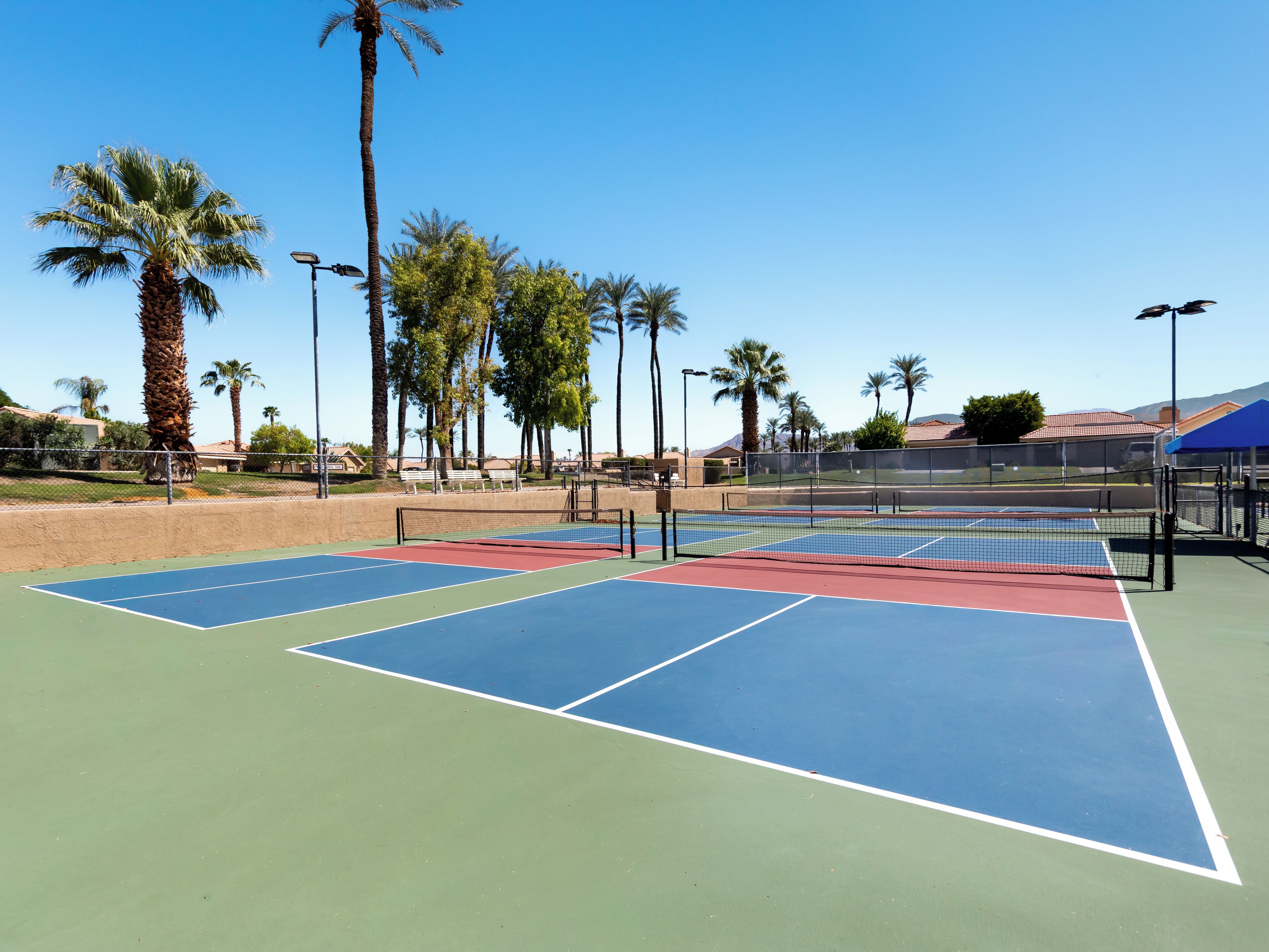 A tennis court with multiple courts, surrounded by palm trees and a clear sky.
