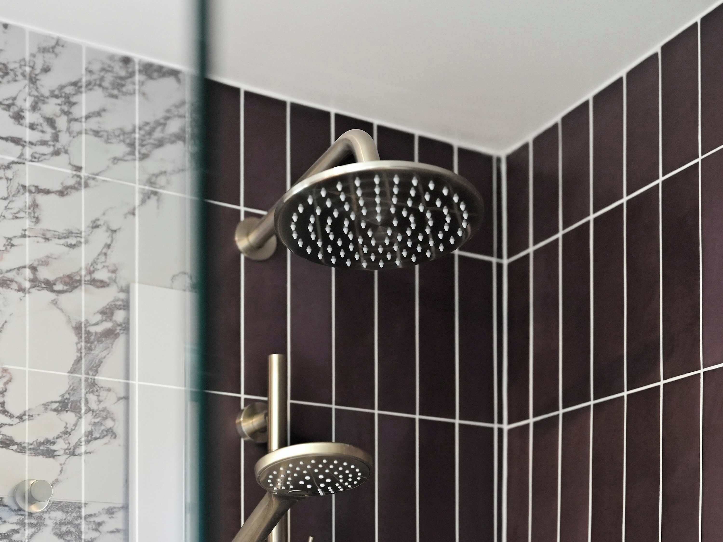 A showerhead with a curved design and a smaller handheld showerhead below it.