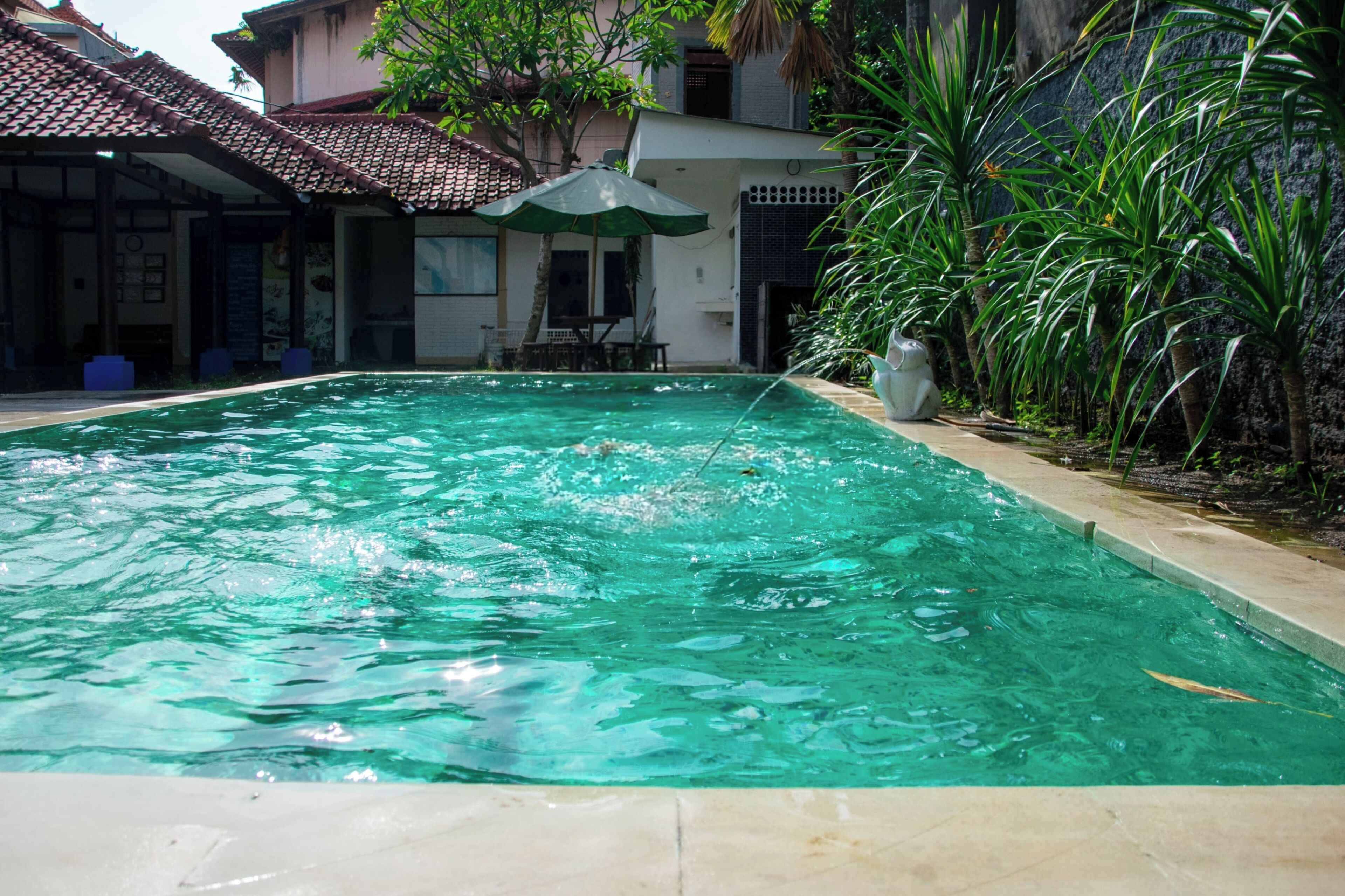 Kolam renang