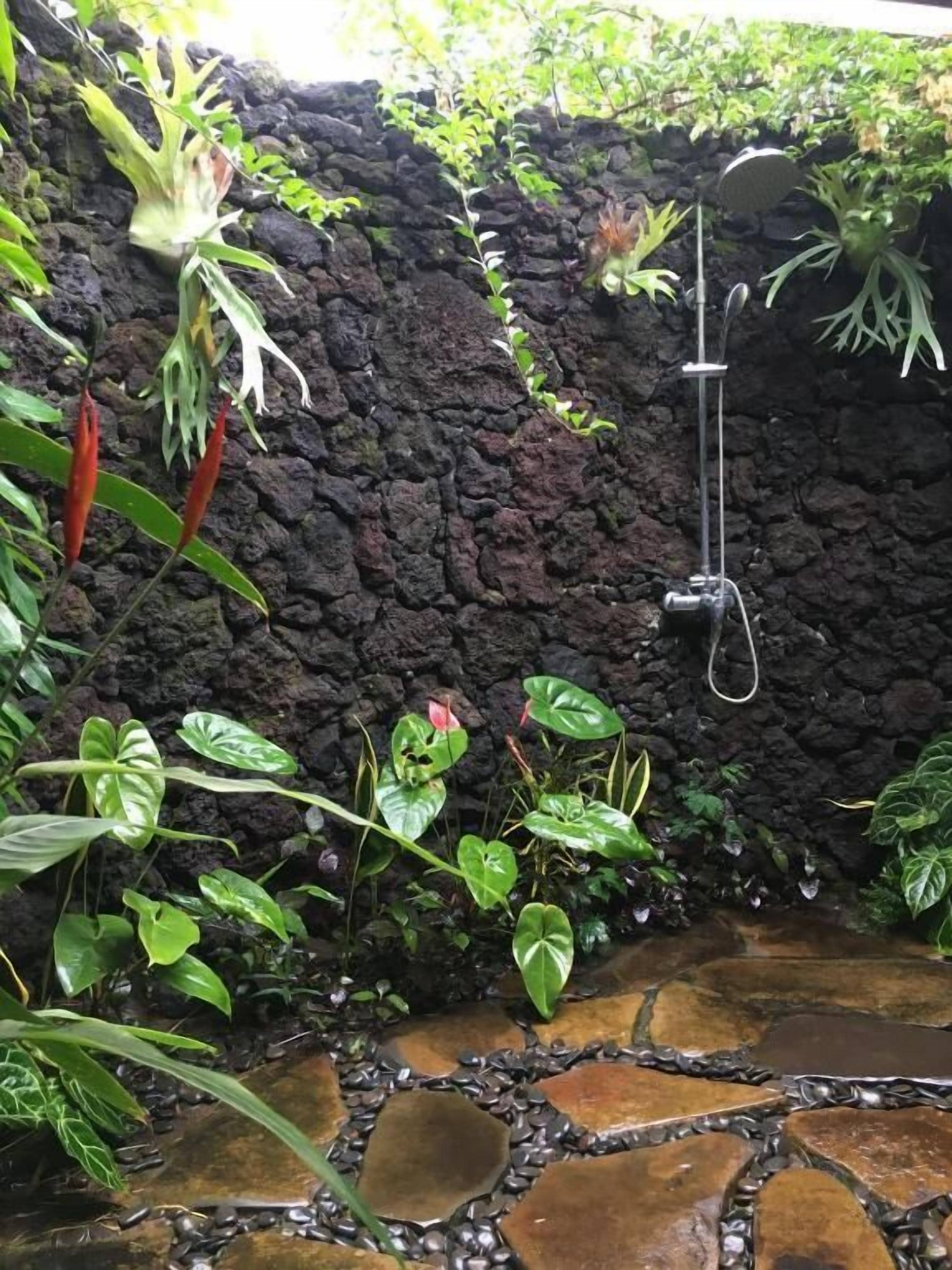 Pared de piedra con ducha, rodeada de abundante vegetación.
