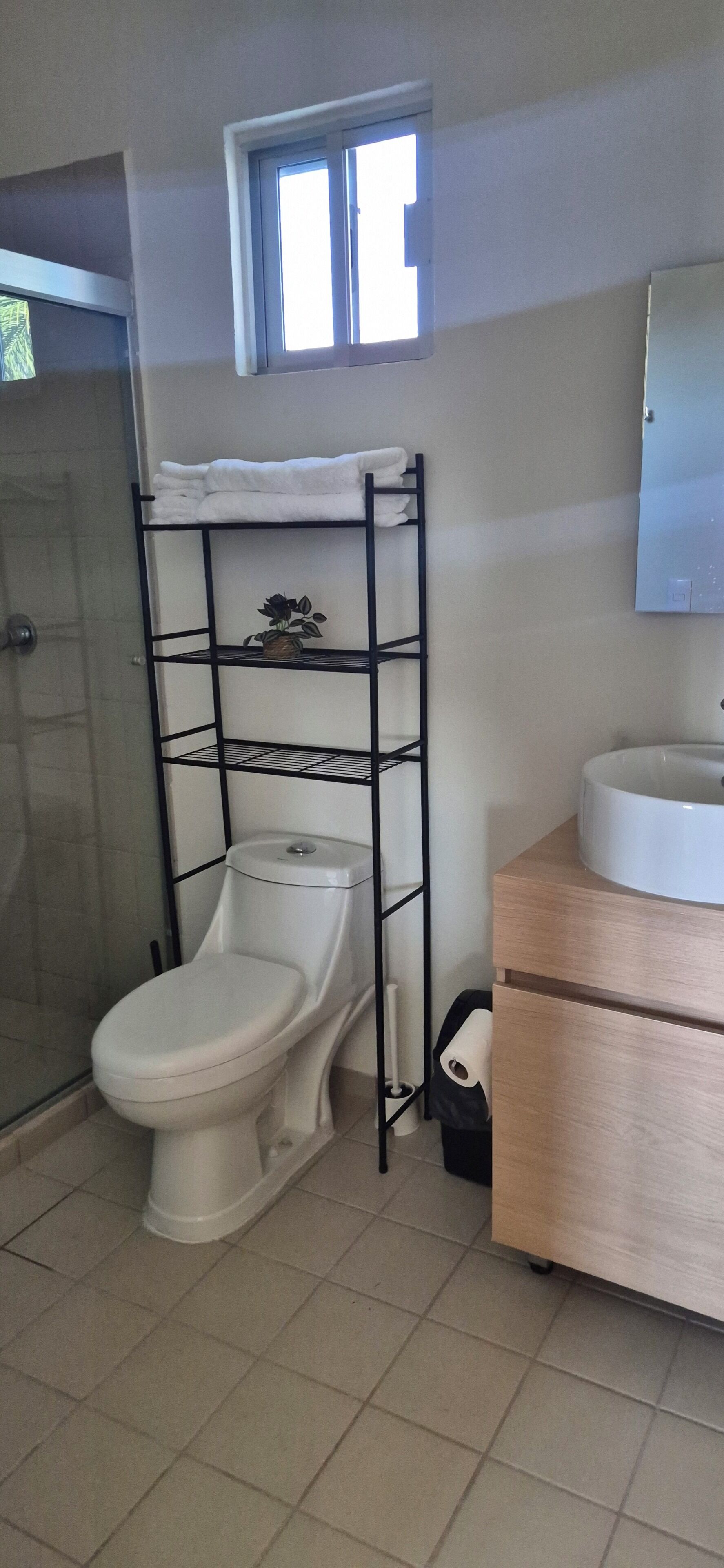 A bathroom with a toilet, a sink, a shelf with a potted plant, and a window above the toilet.