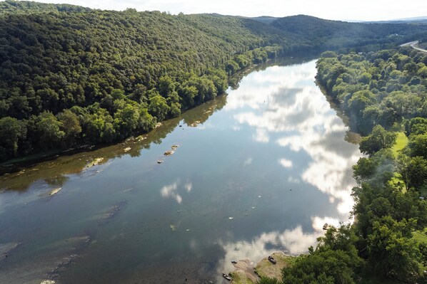 Un fiume circondato da una fitta foresta, con cielo sereno.