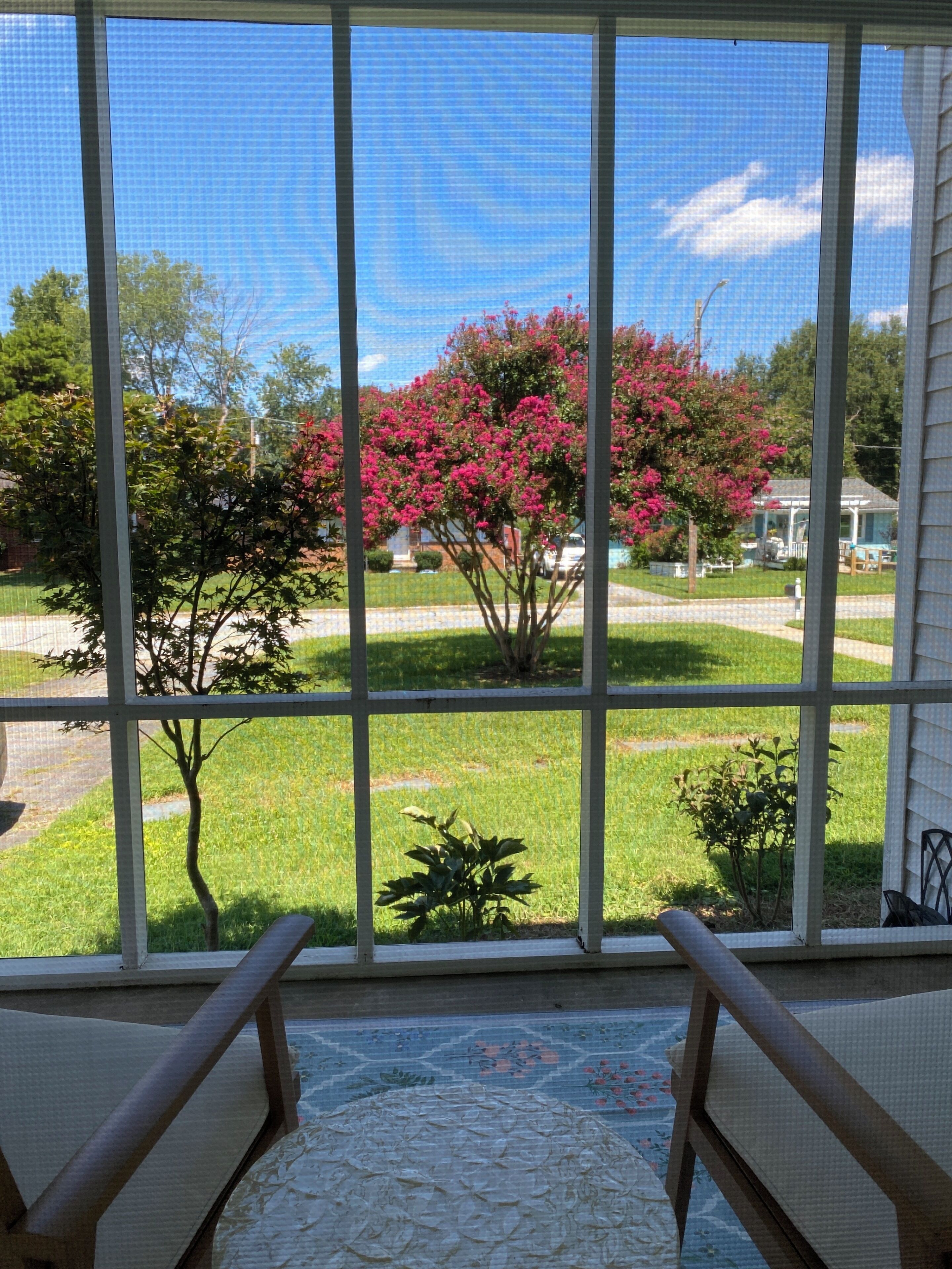 Quarto com uma janela grande que dá para uma área gramada com árvores e uma casa.