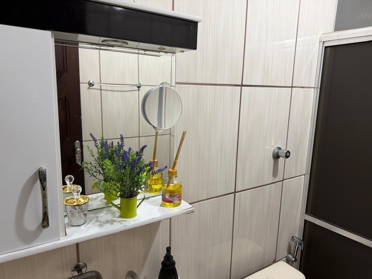 A bathroom with a white vanity, a mirror, a potted plant, and a bottle of liquid soap.