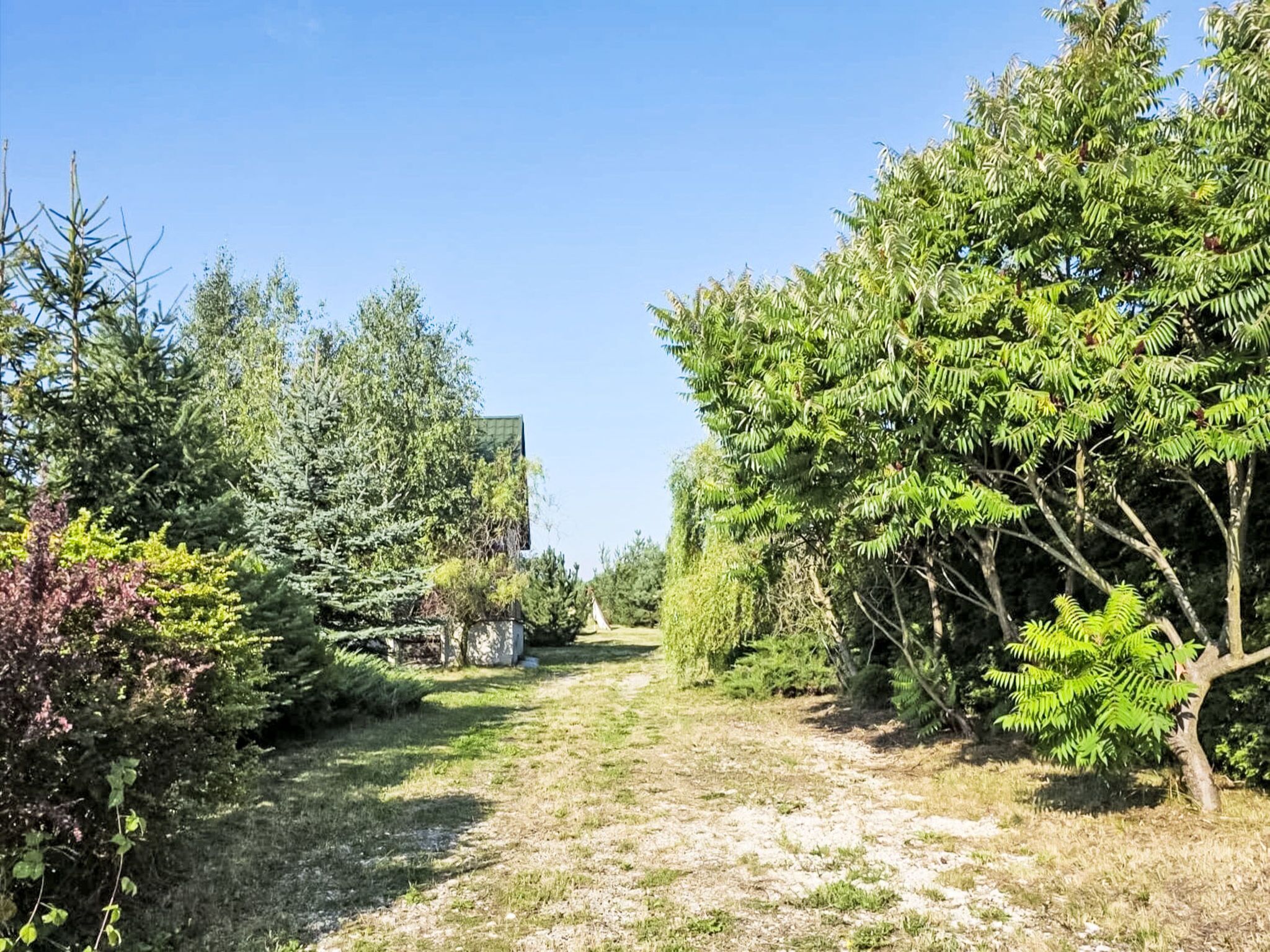 Een pad dat door een tuin slingert, vol bomen en struiken.