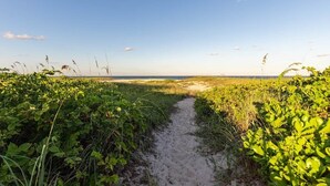 Un sendero arenoso que conduce a una playa, con vegetación herbácea a ambos lados.