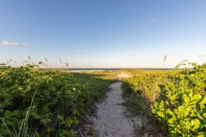 A sandy path leading to a beach with grassy vegetation on either side. - Palmetto Place | Beach, Pool & Walkable Dining (Vero Beach)