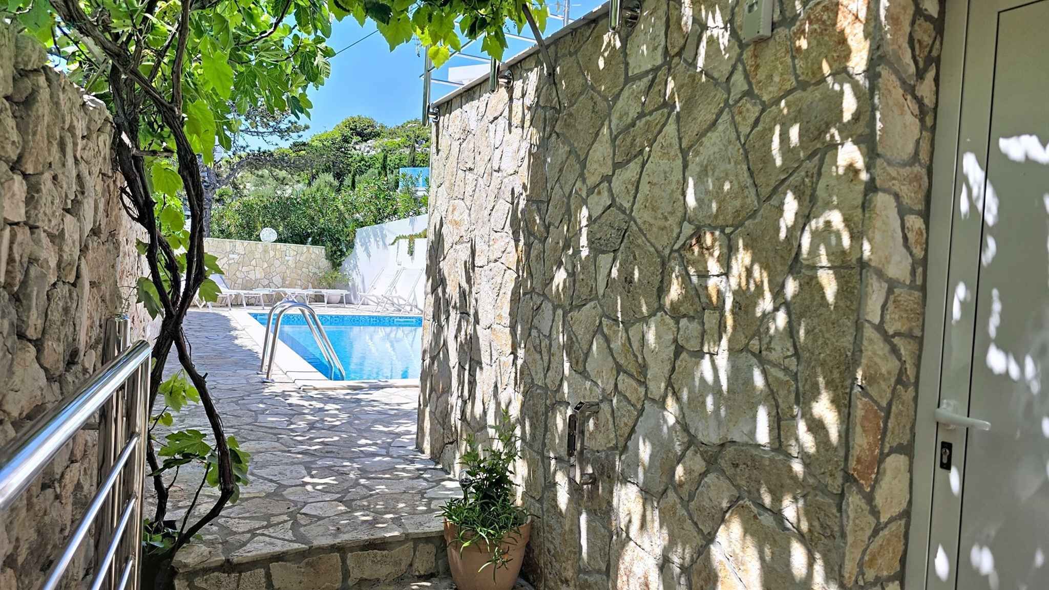 A stone wall with a pool and a potted plant.