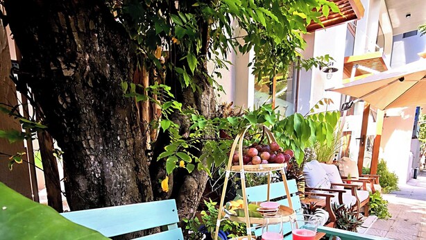 Une table dressée à l’extérieur, avec un panier de fruits, une boisson et une théière.
