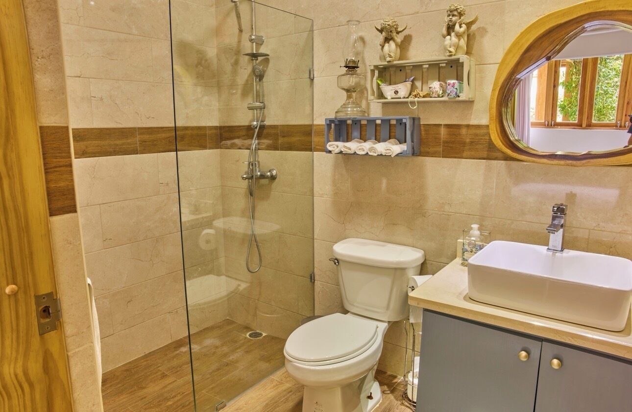 Une salle de bain avec une douche à parois de verre, des toilettes et un lavabo avec un miroir au-dessus.