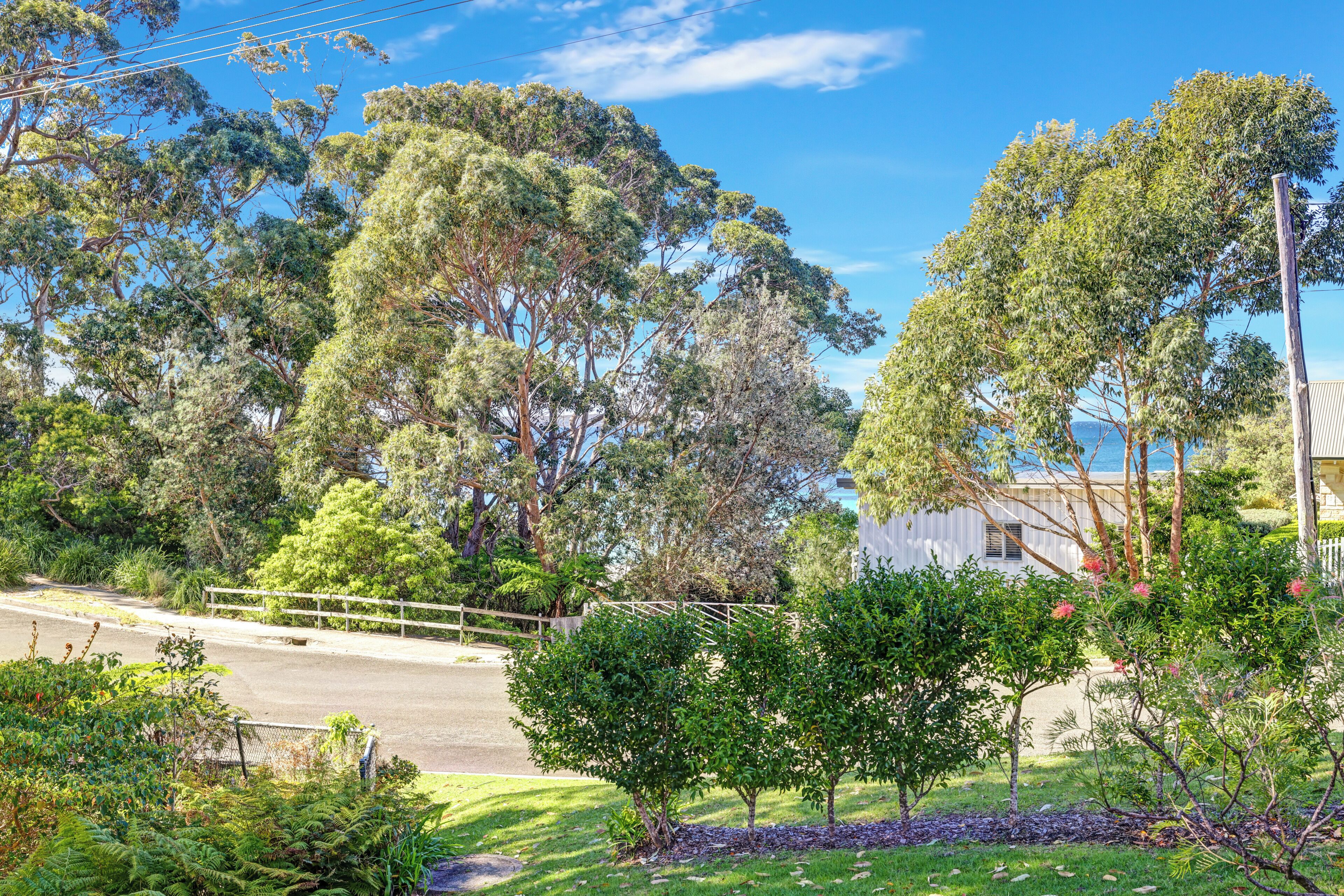 A residential area with a white house, lush green trees, and a clear blue sky.