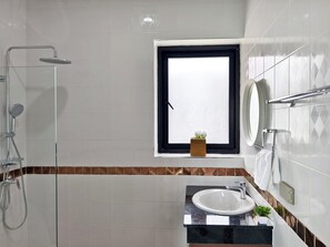 Een badkamer met een douche, wastafel, raam met uitzicht en een spiegel.