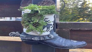 A decorative planter with a rustic design, placed on a wooden structure. - Suite Amour Hobby Farm Bed & Breakfast (Qualicum Beach)