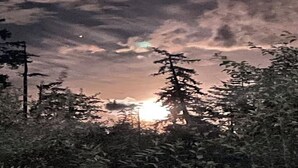 A sunset with trees in the foreground. - Suite Amour Hobby Farm Bed & Breakfast (Qualicum Beach)