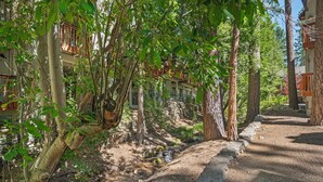 Un sendero bordeado por árboles y un muro de piedra, que lleva a un edificio con un balcón de madera.