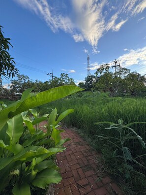 Garden - Retro at Mae Rim (Mae Rim)