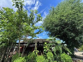 A building with a balcony, surrounded by dense foliage and trees.