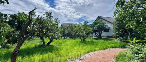 Un sendero conduce a un edificio blanco con borde de ladrillo rojo, rodeado de abundante vegetación y árboles.