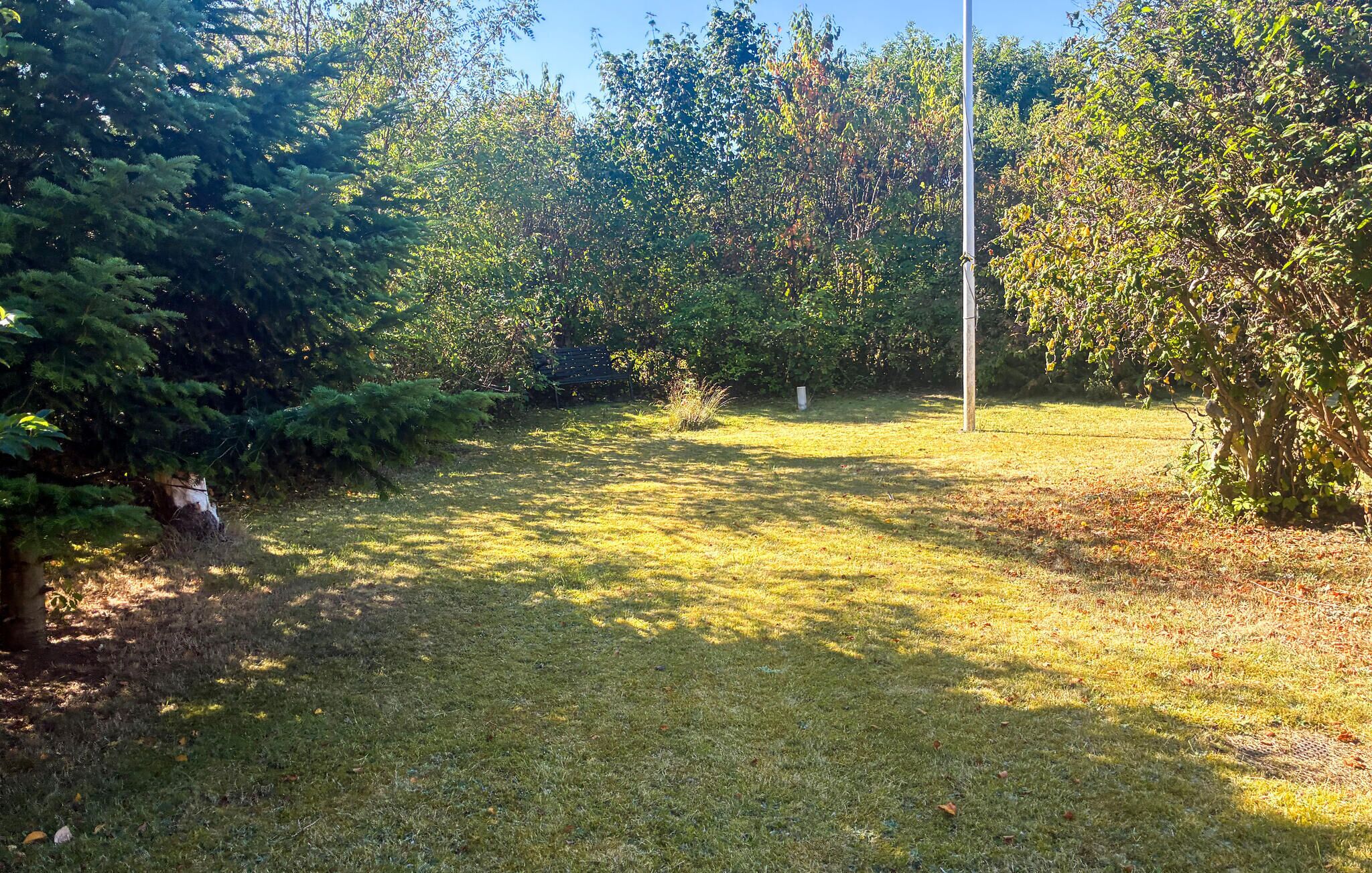 A grassy outdoor area with trees and a utility pole.