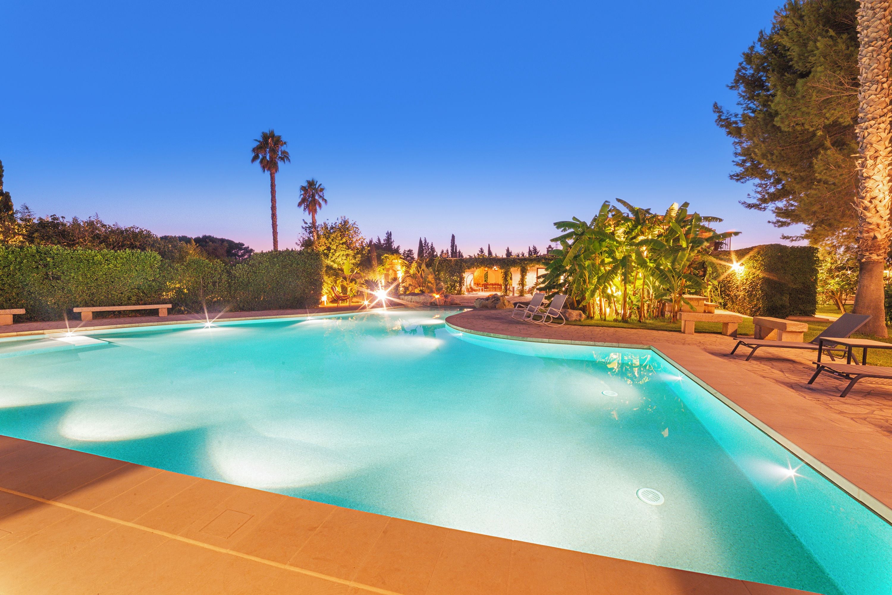 Une piscine dont le centre est plus profond que le reste, entourée de chaises longues et de palmiers.