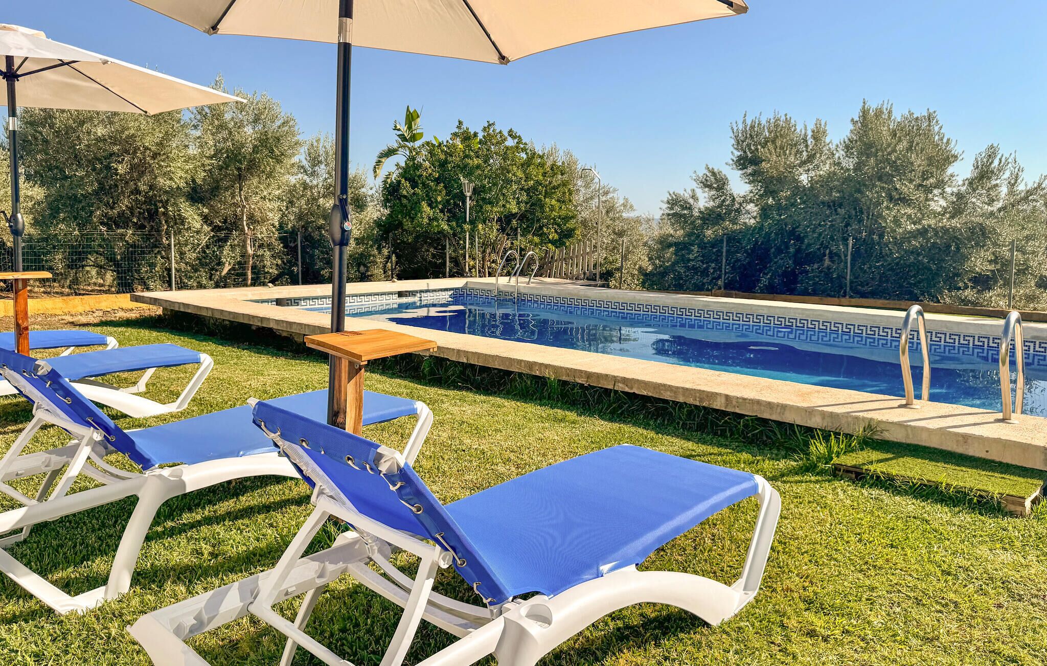 Ein Swimmingpool mit blauen Liegestühlen und einem Holztisch, umgeben von Gras und Bäumen.