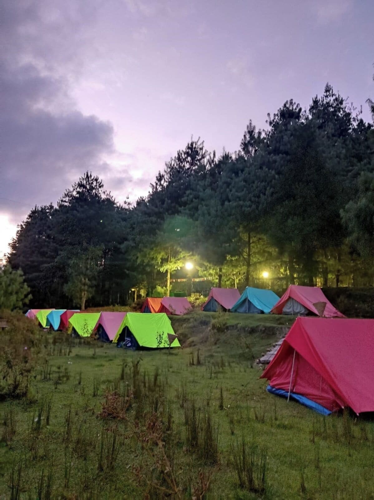 Basic Tent, Non Smoking | Property grounds