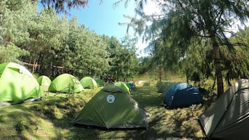 Basic Tent, Non Smoking | Property grounds