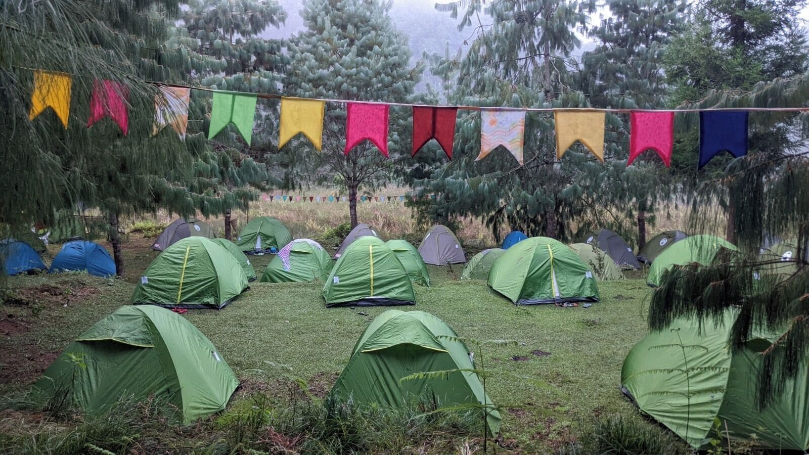 Basic Tent, Non Smoking | Property grounds