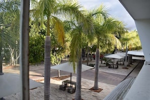 A courtyard with palm trees, outdoor seating, and a covered area.