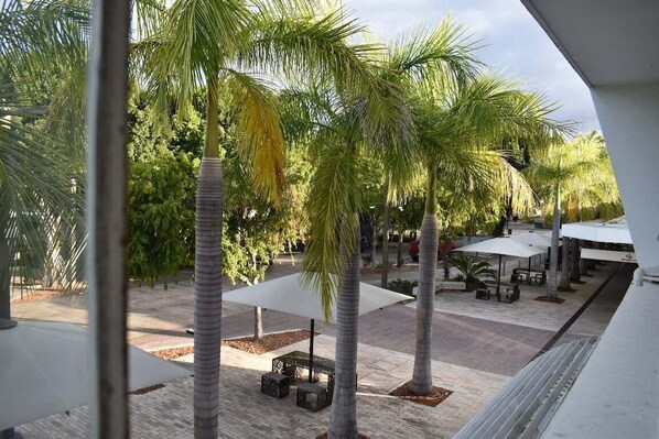A courtyard with palm trees, outdoor seating, and a covered area.